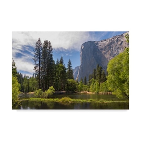 Adam Burton 'El Capitan' Canvas Art,12x19